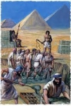 115/119810.jpg