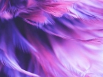 115/120412.jpg